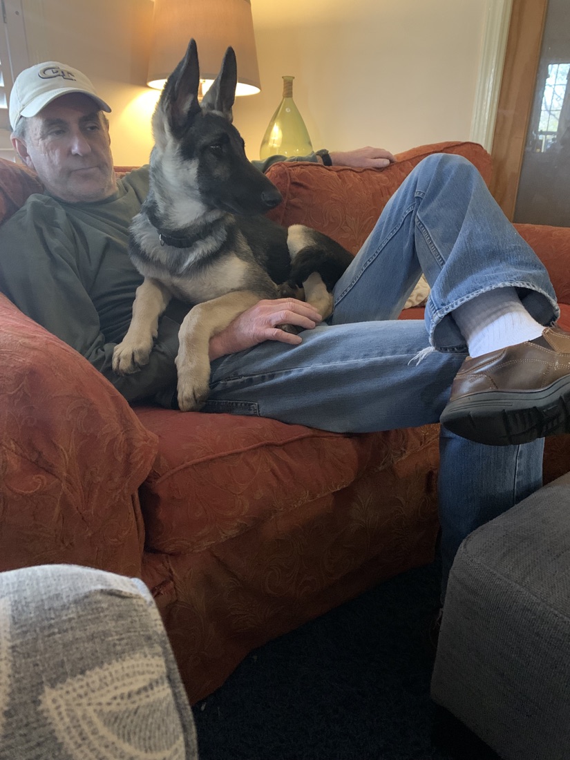 A foster volunteer sitting on the couch with a German Shepherd resting across his lap